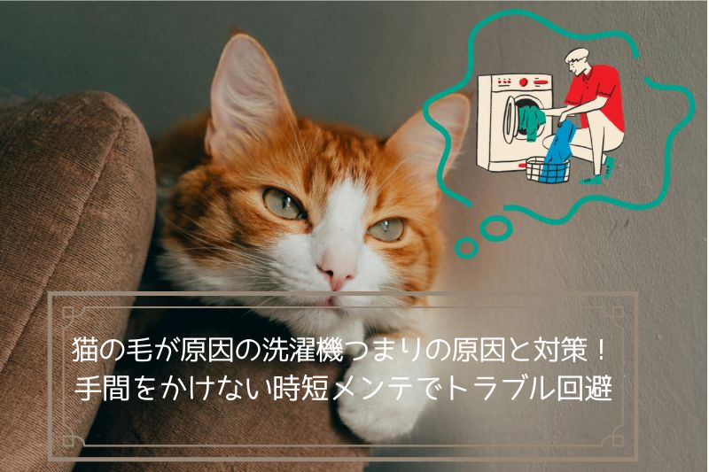 猫の毛がついた洗濯物を洗濯機で洗っているの飼い主を想像している猫