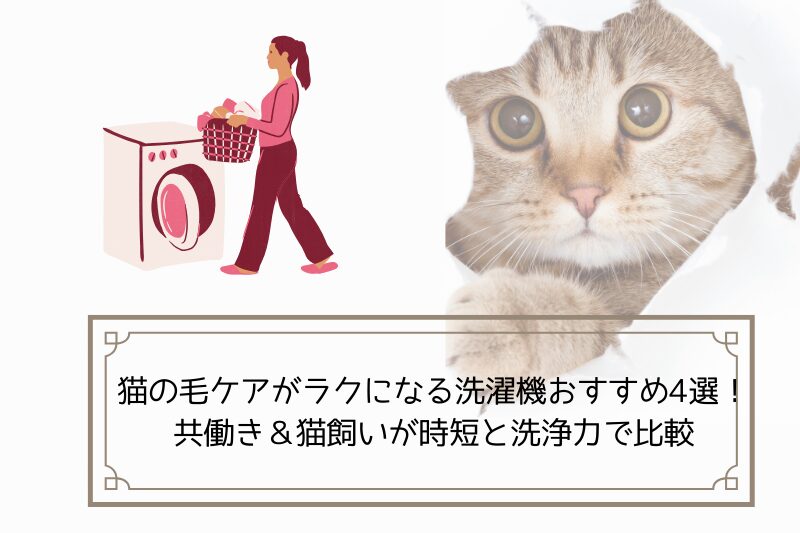 猫と洗濯物をする女性